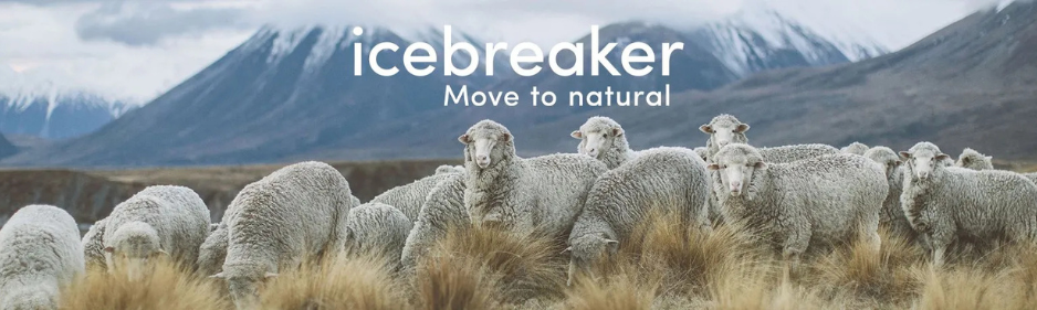 Icebreaker