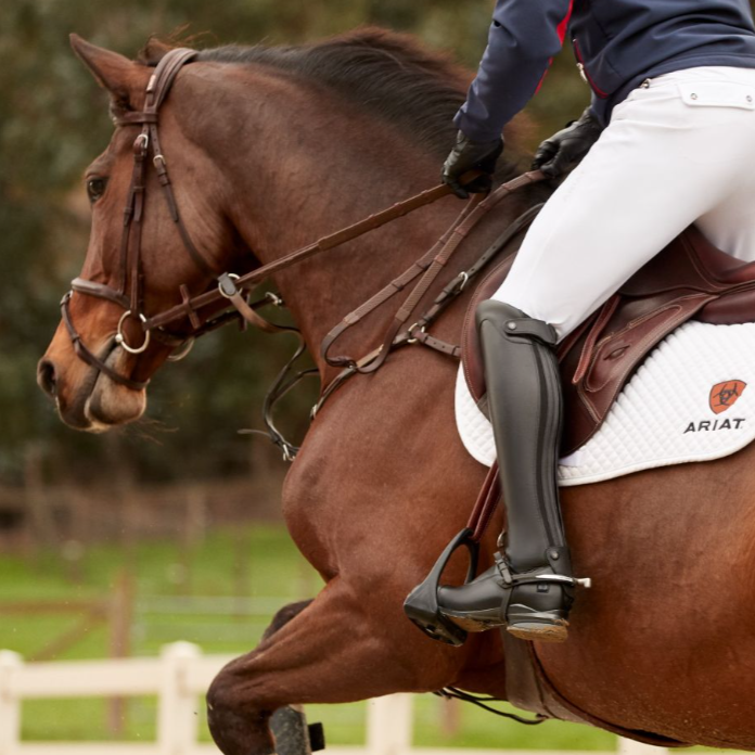 a person house riding with a Ariat saddle, white trouser, black boots 