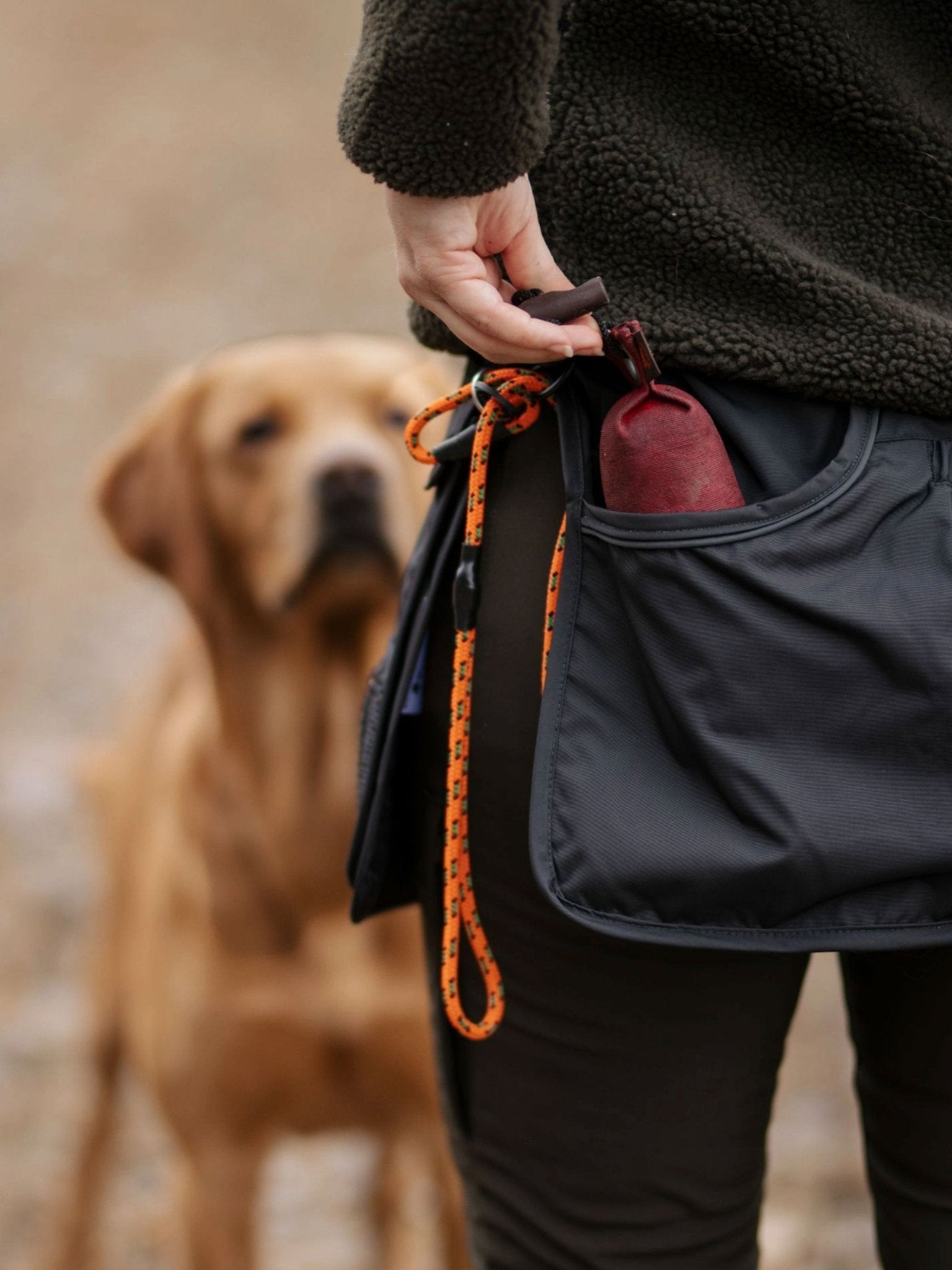 Pinewood - Pinewood Premium Dog Sports waist belt / Dog Training belt / utility belt