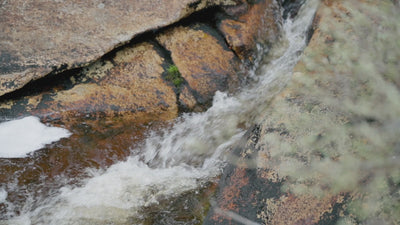 people hiking along side a river in the country side 