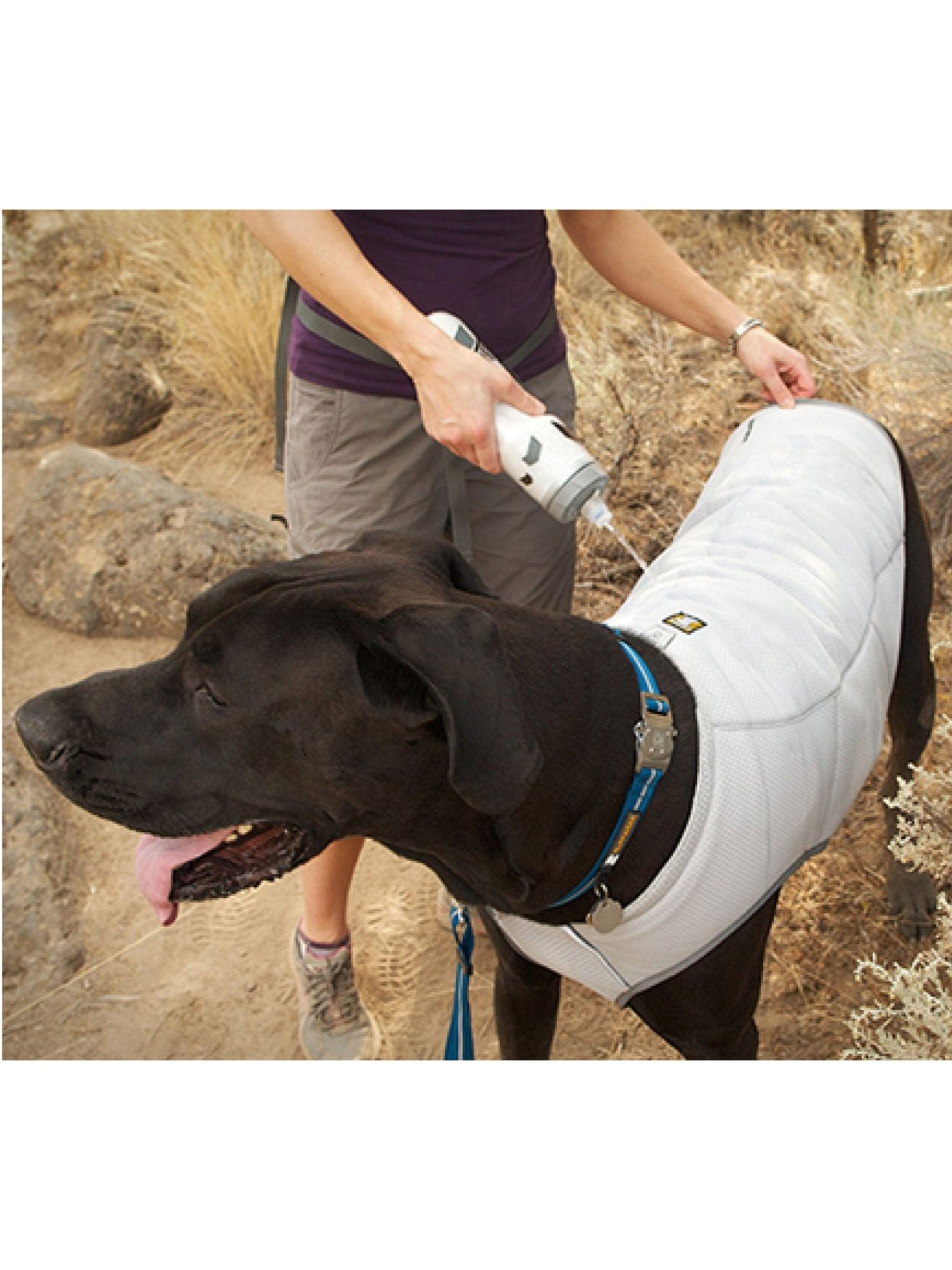Ruffwear - Swamp Cooler™ Premium Dog Cooling Vest - Buckle Version